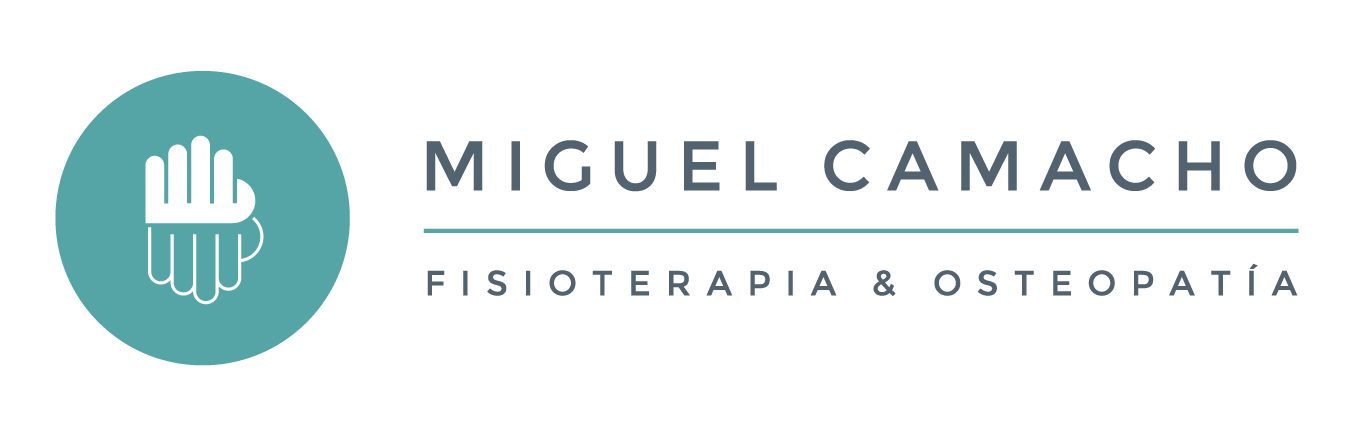 light logo